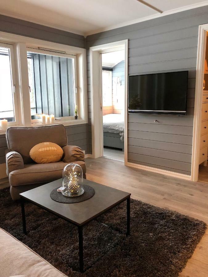 Storehorn Apartments Hemsedal Exteriér fotografie