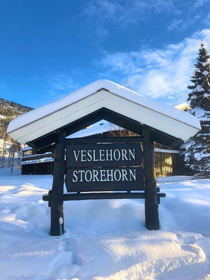 Storehorn Apartments Hemsedal Exteriér fotografie
